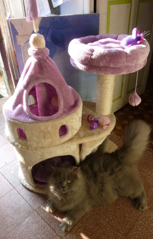 arbre a chat princesse